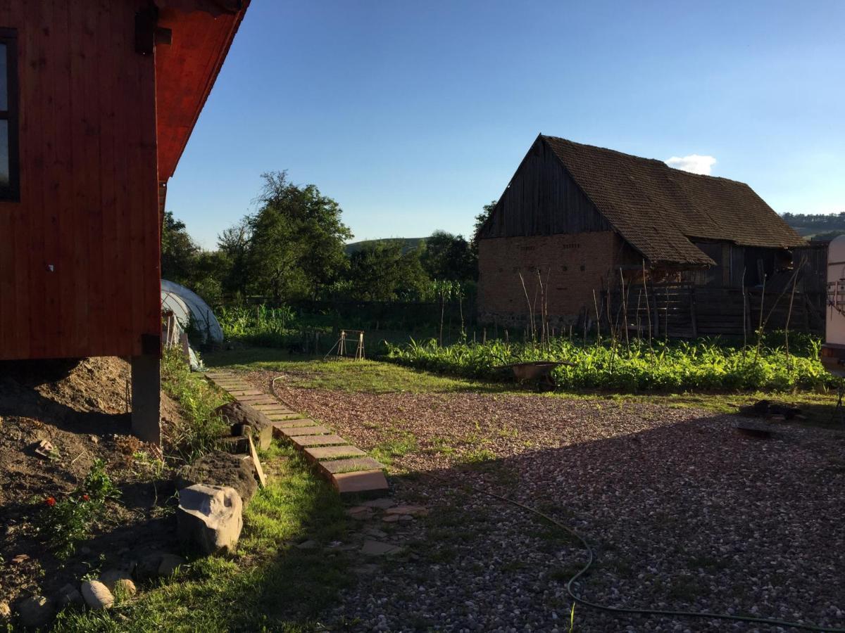 Pensiune Agroturistica Hanna Ocland 외부 사진