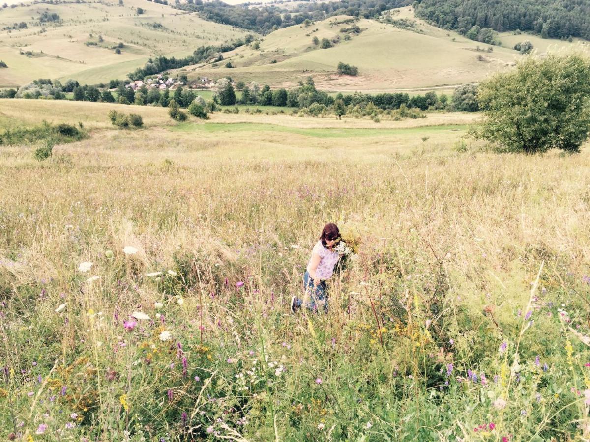 Pensiune Agroturistica Hanna Ocland 외부 사진