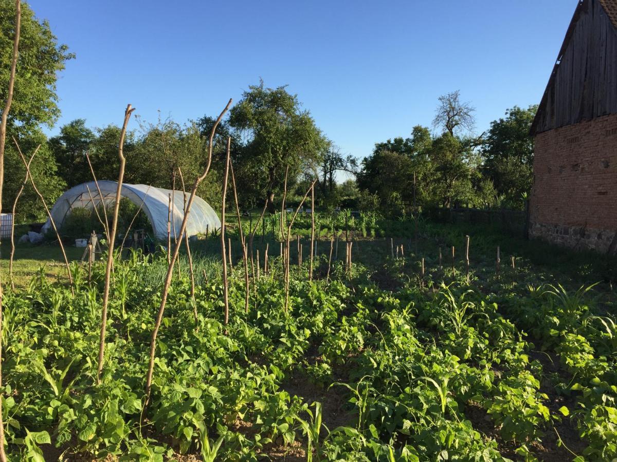Pensiune Agroturistica Hanna Ocland 외부 사진